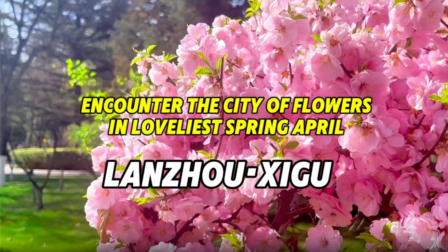 Encounter the City of Flowers in Loveliest Spring April