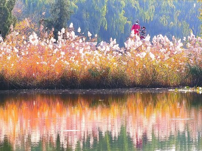 保護(hù)傳承利用“三山五園”金名片 充分發(fā)揮全國(guó)文化中心示范引領(lǐng)作用